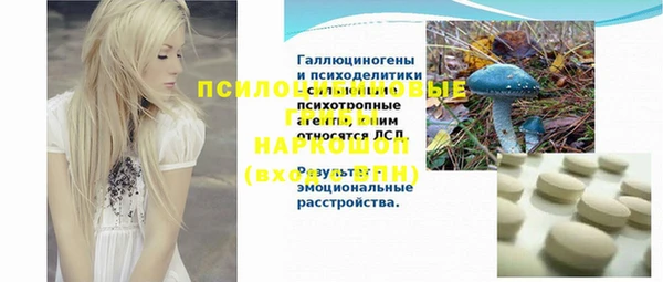 стафф Бронницы