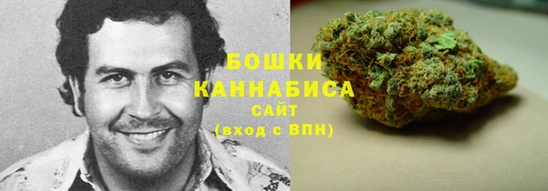 ПСИЛОЦИБИНОВЫЕ ГРИБЫ Бугульма