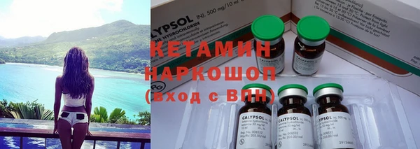 прущий лед Бородино