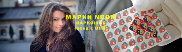 стафф Бронницы