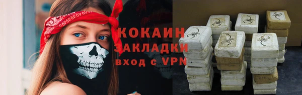 прущий лед Бородино