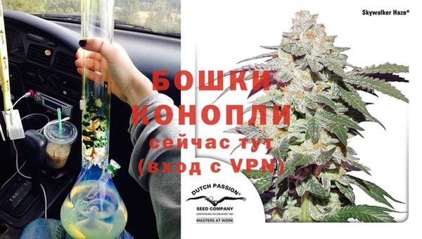 прущий лед Бородино