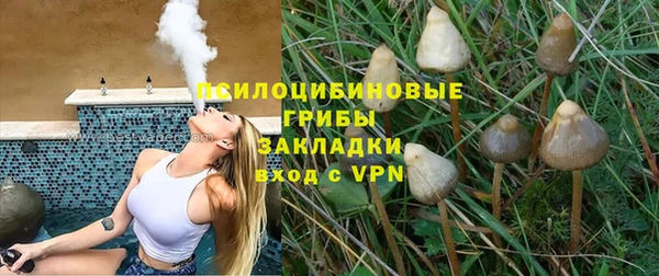 прущий лед Бородино