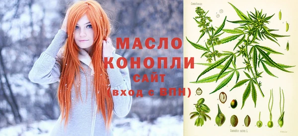 прущий лед Бородино