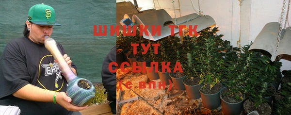 эйфоретик Богородск