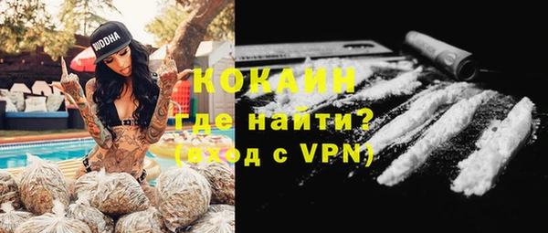 прущий лед Бородино
