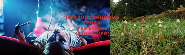 прущий лед Бородино