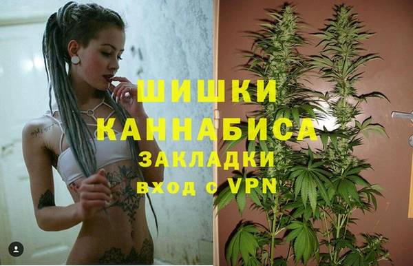 ПСИЛОЦИБИНОВЫЕ ГРИБЫ Бугульма