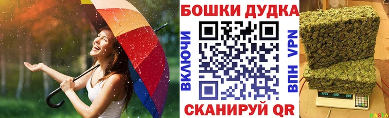 купить  сайты  Ковылкино  Марихуана ГИДРОПОН 